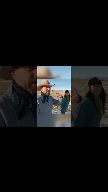 What's Great About Raising Sheep?