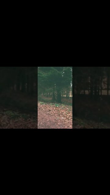 A visit to Emmerdale Film set near Harewood House