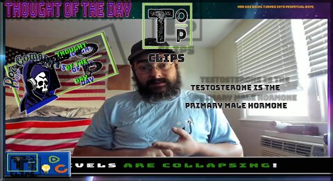 Testosterone Is the Primary Male Hormone (Explicit)