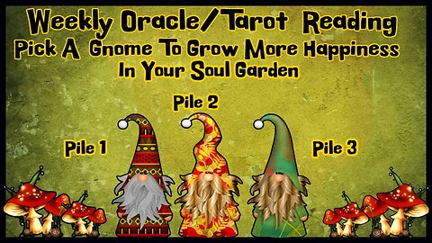 Pick A Card Weekly Oracle/Tarot Reading l Bringing More Happiness Into Your Life Now! 😊👍😄🌈