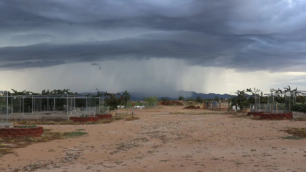 Jujubes, Tarantulas, Coyotes and Tornadoes?