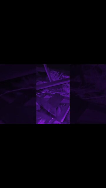 What Is Your Name? #paranormal