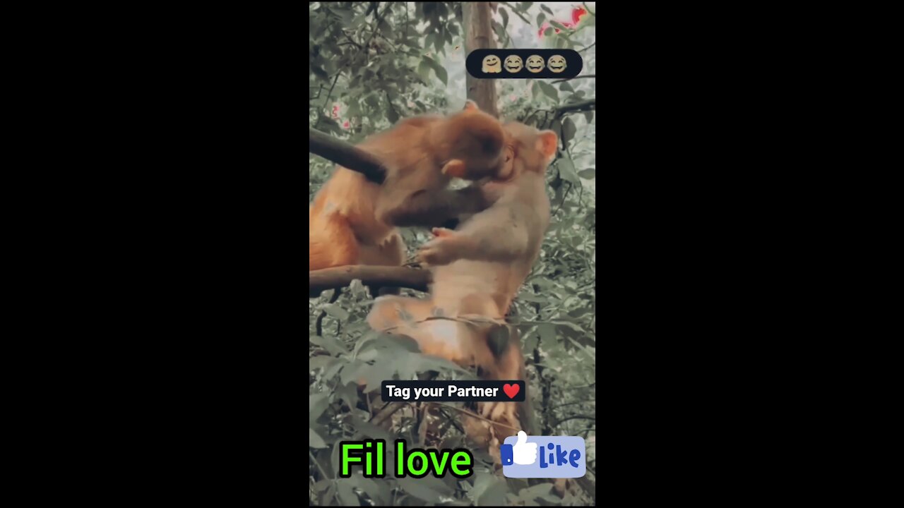 If your partner unhappily with you than try it????watch♥️♥️♥️♥️😍😍😍