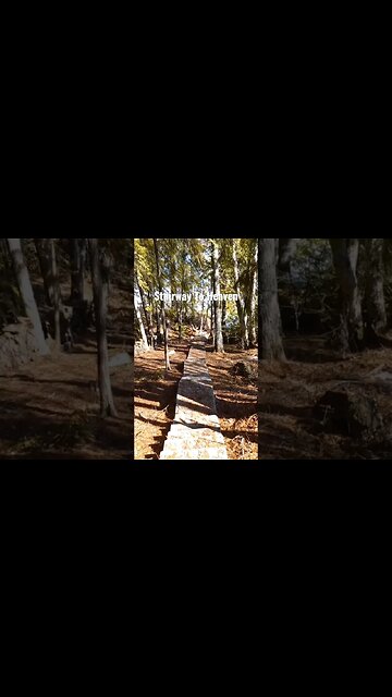 I climb the stairway to heaven. #shorts