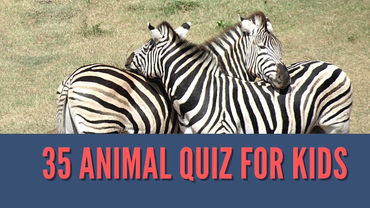 Animals Quiz For Kids