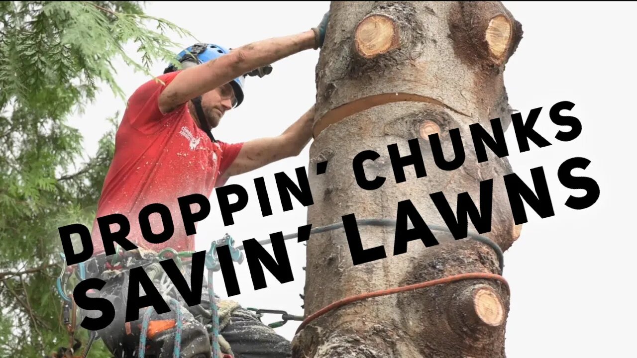 Chunking down a stem without causing damage below : Arborist pro tip