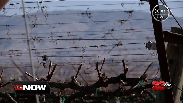 Officials warn of migrant workers falling victim to immigration scams