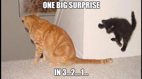 SURPRISE!