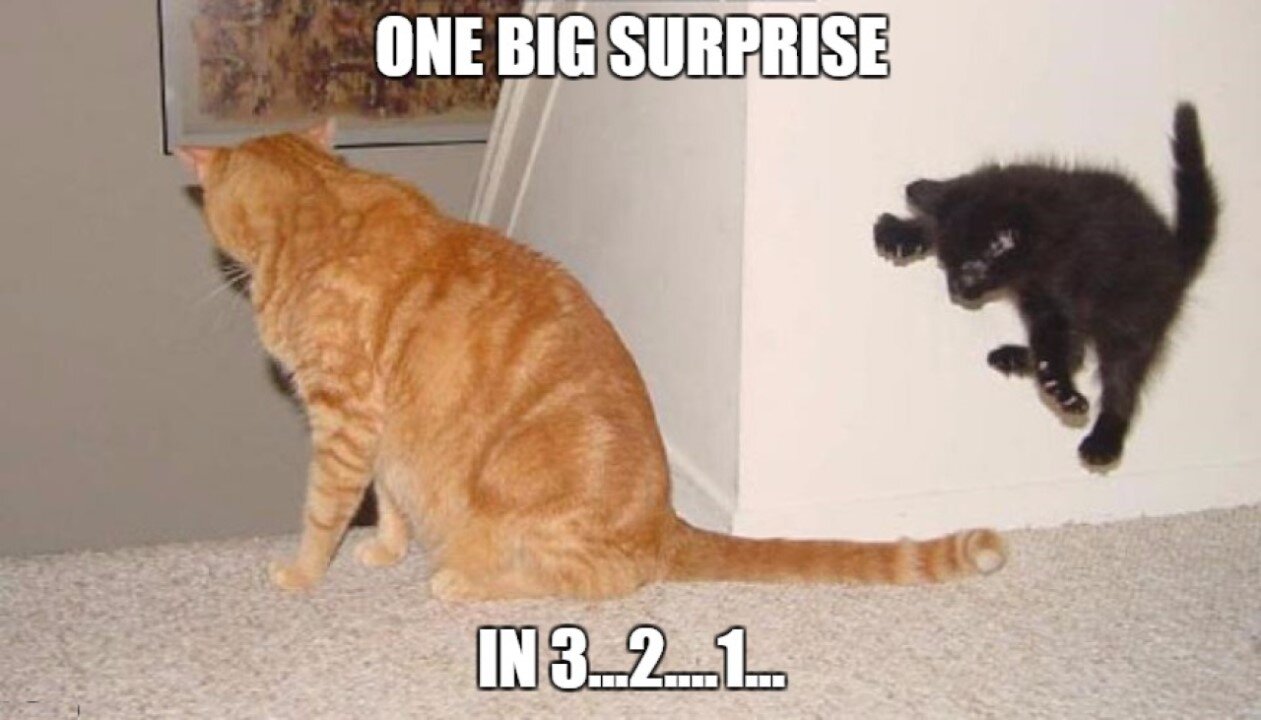 SURPRISE!