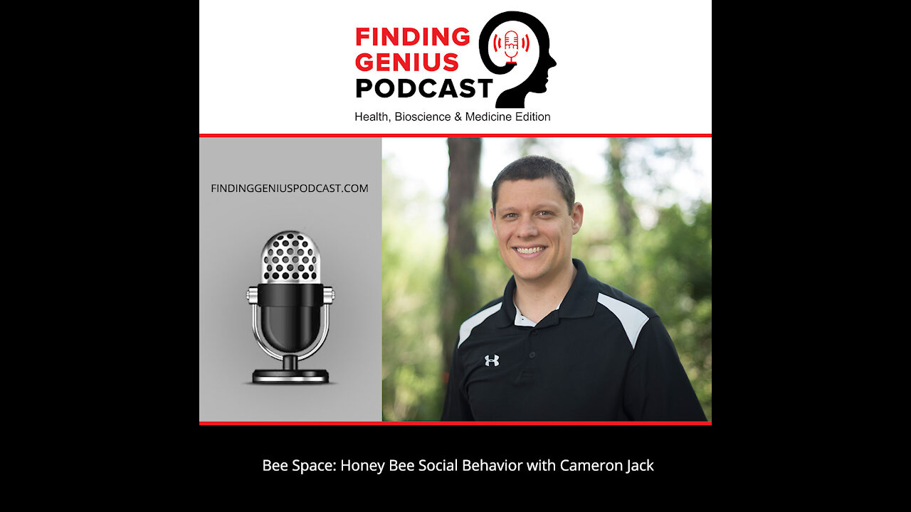 Bee Space: Honey Bee Social Behavior with Cameron Jack