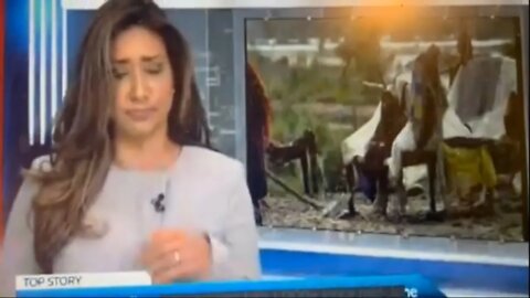 Toronto News Anchor Swallows a Fly and Continues to Read the News