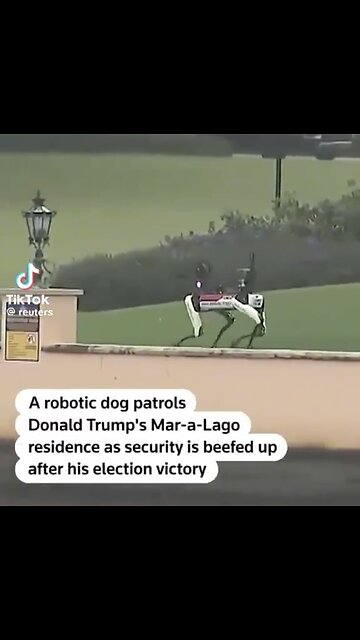 ROBOT-DOGS🇺🇸🏖️🐩🏰🏝️PROTECTS TRUMP PROPERTY MAR-A-LAGO🇺🇸🏝️🏰🐩💫