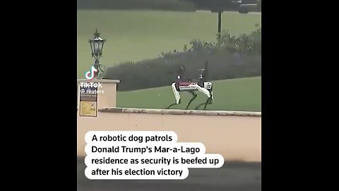 ROBOT-DOGS🇺🇸🏖️🐩🏰🏝️PROTECTS TRUMP PROPERTY MAR-A-LAGO🇺🇸🏝️🏰🐩💫