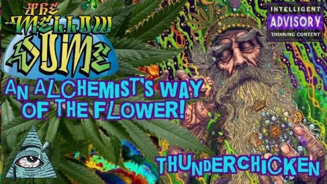 An Alchemist's Way Of The Flower! ThunderChicken in the MellowDome!