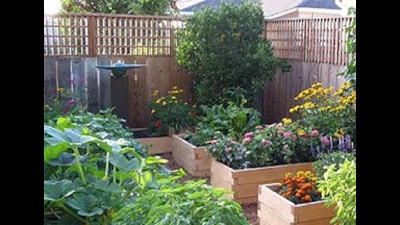 Part 72 Gardening in Raised Beds and Grow Boxes