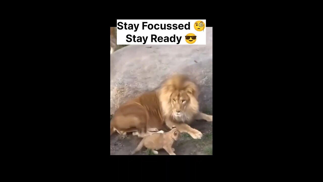 Stay Focussed 🧐 Stay Ready 🧐🧐🧐