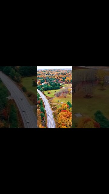 VÍDEO SEM DIREITOS AUTORAIS: