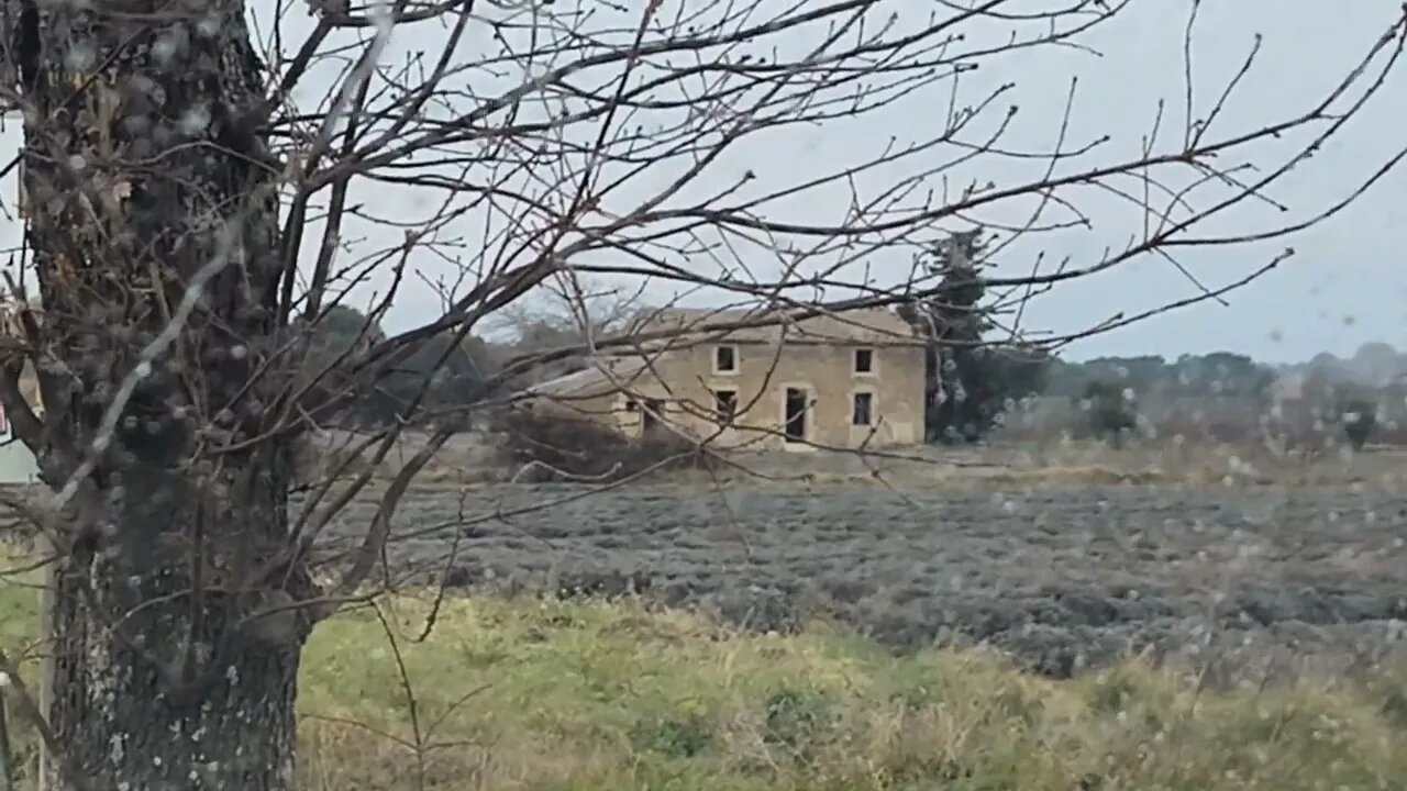 Professer au milieu des ombres ?