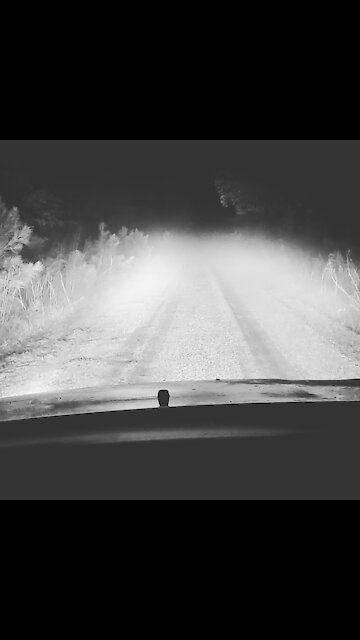 Crossett Ghost Light Hunt: 1st Trip Findings