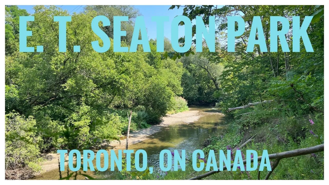 E.T. Seaton Park | Bike Trails & West Branch of Don River Views | Hiking| Relive |Toronto, ON 🇨🇦