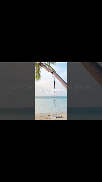 This Bible Verse about God’s Love could change your entire day!