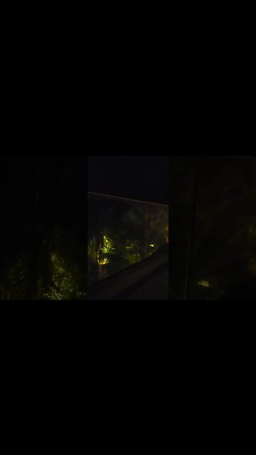 listen to those waves.