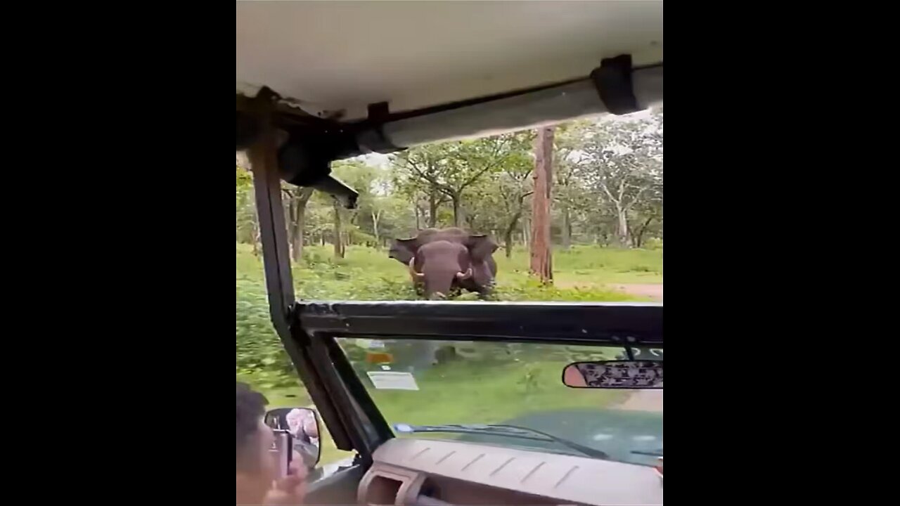 Awareness👀Elephant🐘Ditch🐘Pushing👉Car🚙Drive👀🏃‍♂️💥🔥😎