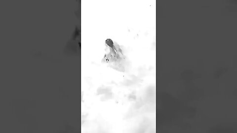 O treinamento de comando é muito perigoso. #war #history #ww2 #guerra #fatos