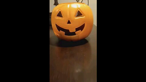 trick or Treat
