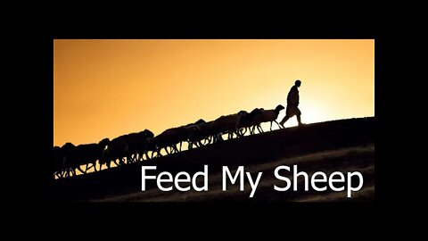 Feed my Sheep