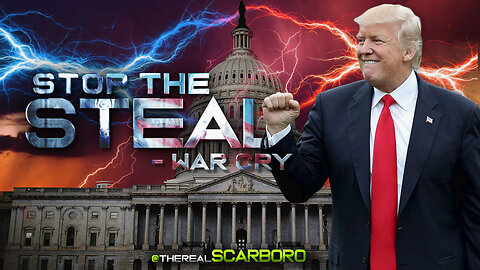 STOP THE STEAL - PATRIOTS
