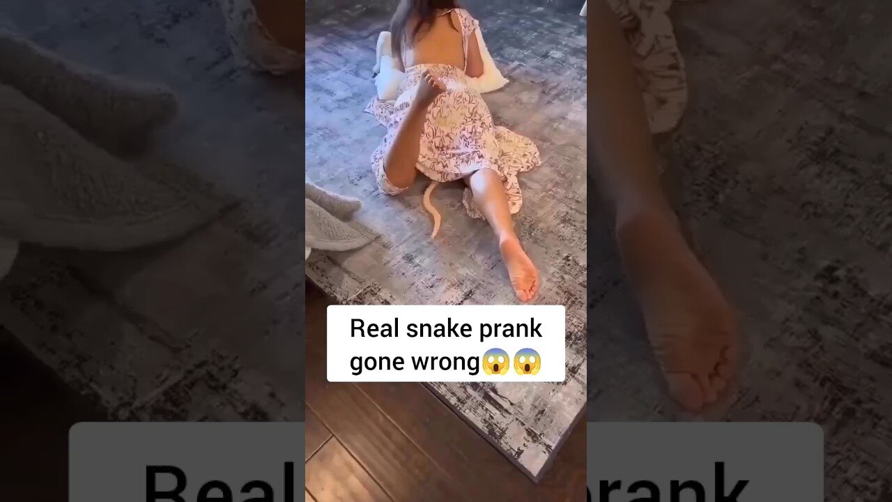 real snake prank🤣