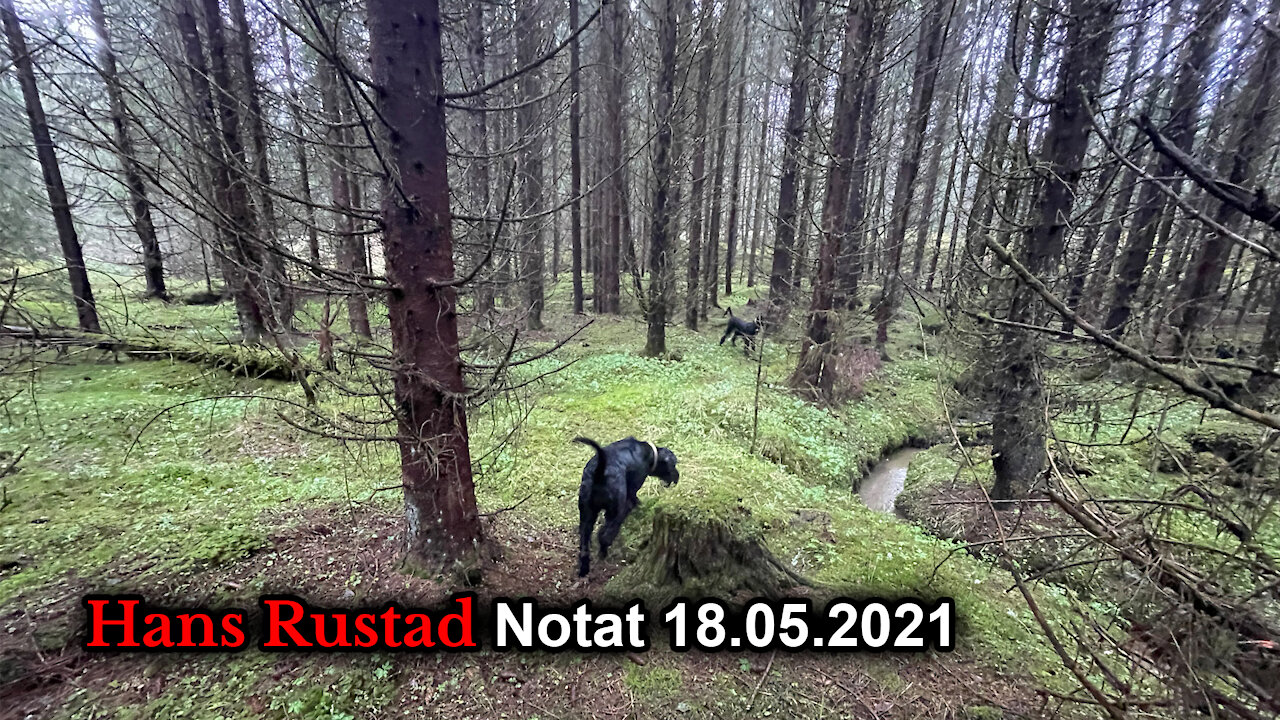 Skogpod 18. mai: Du tror det ikke, før du får høre det!