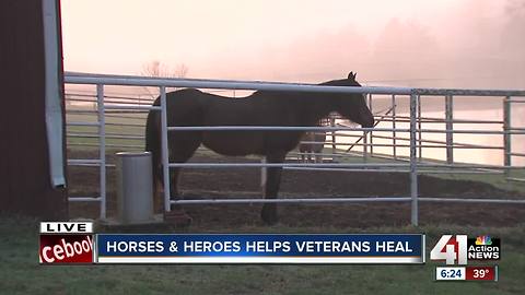 Local organization Horses & Heroes helps veterans heal