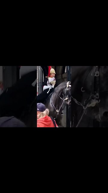 Get back tells tourist #horseguardsparade