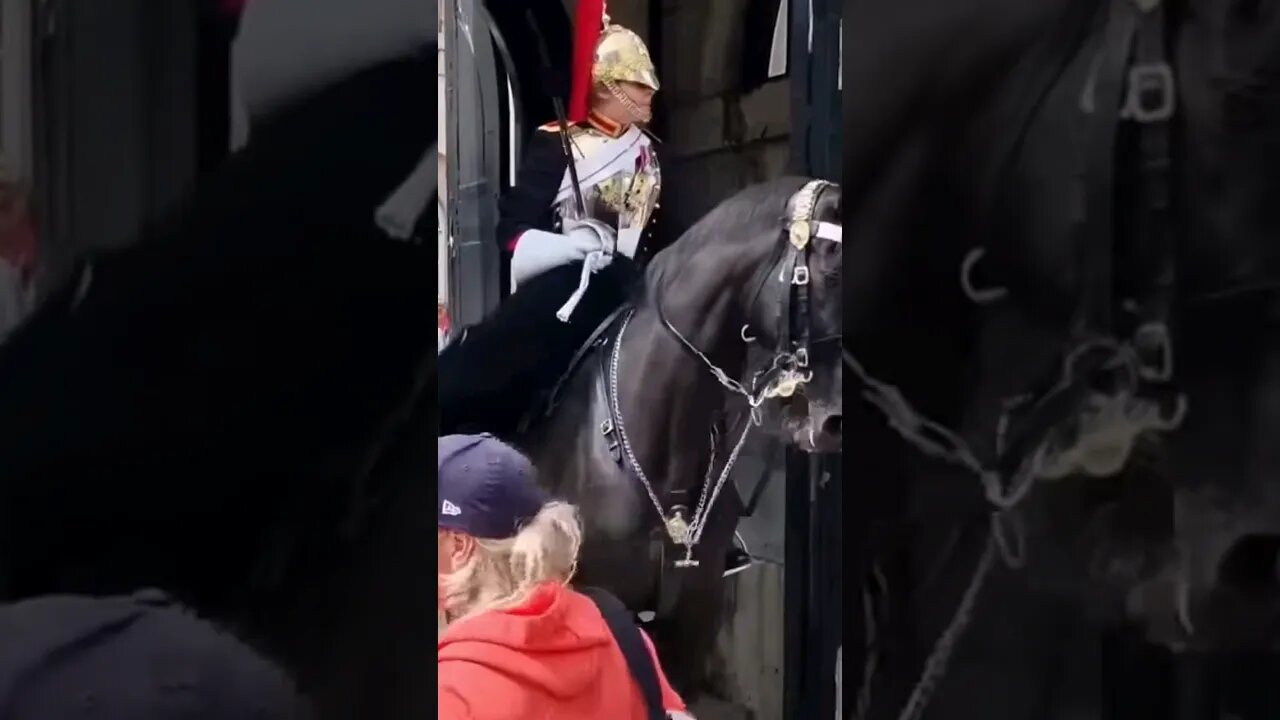 Get back tells tourist #horseguardsparade