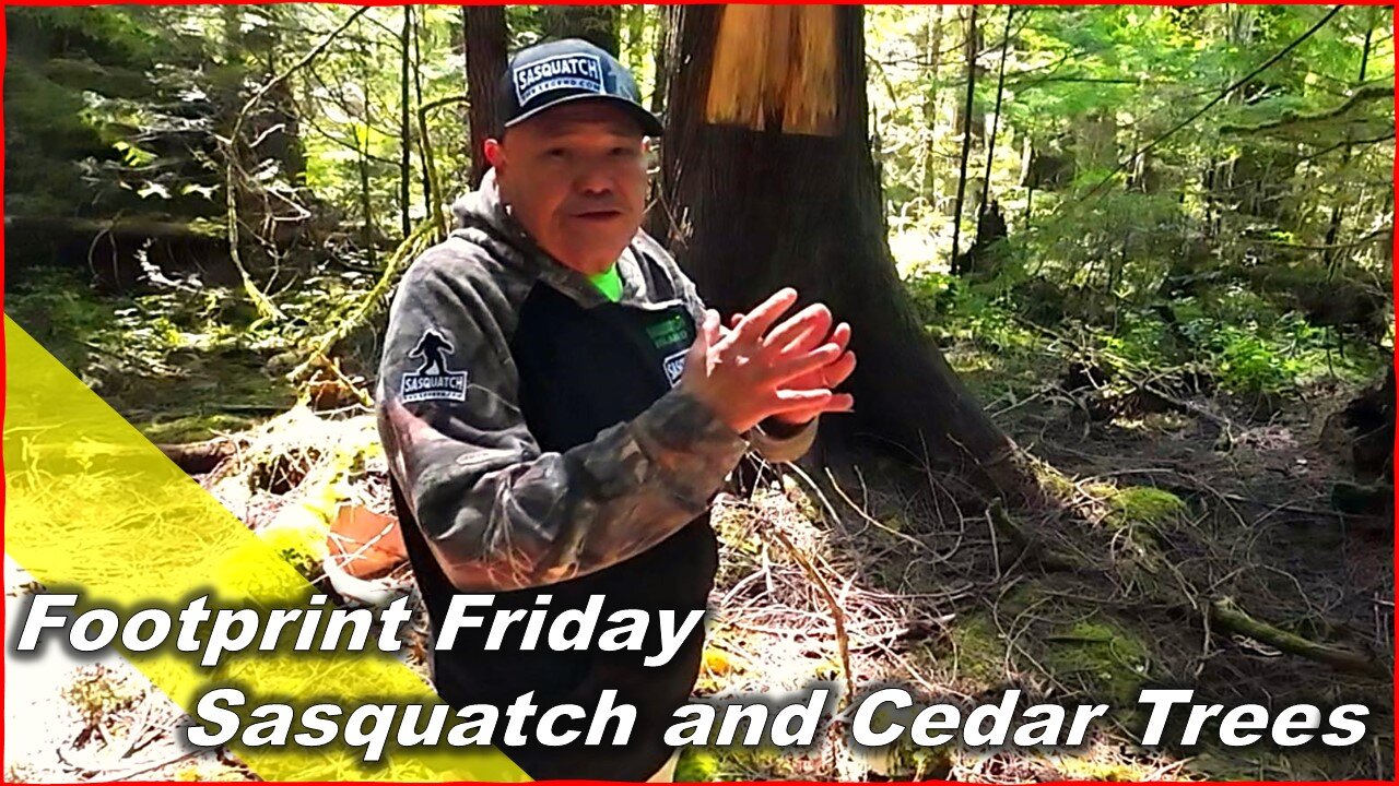 Sasquatch and Cedar Trees with Tom Sewid