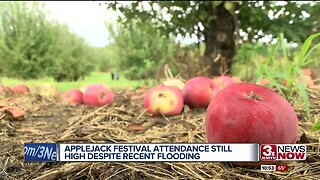 Apple Jack Attendance