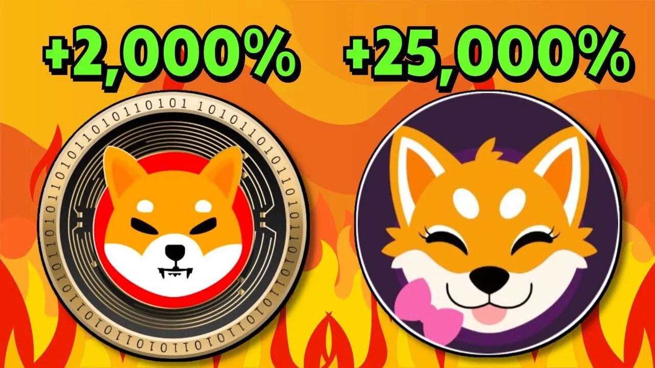 SHINA INU!! THE NEXT SHIBA INU WILL MAKE MILLIONAIRES!!