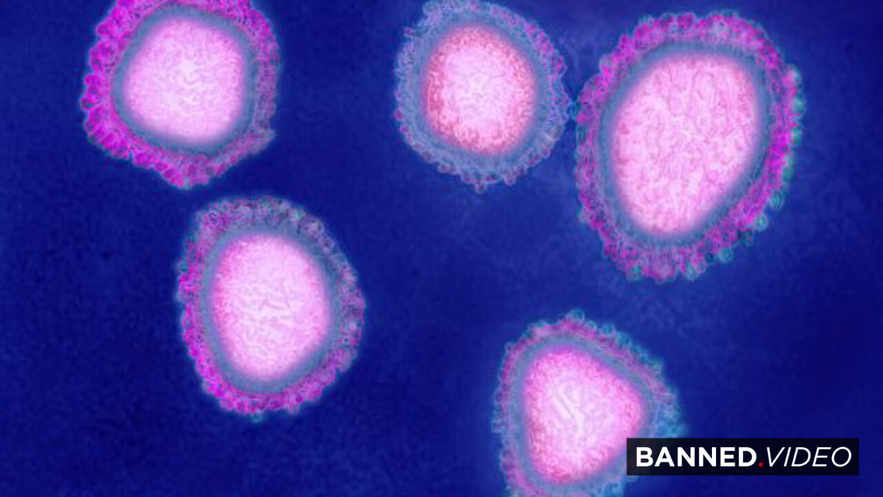 What's Known About The 2019 Novel Coronavirus?