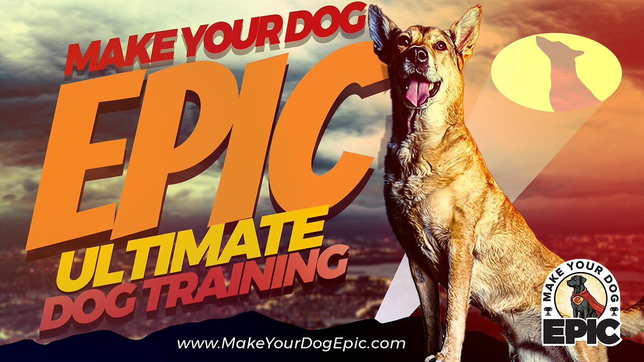 Dog Training Franchise | What to Own Your Own Business? What Is the First Step You Must Take to Open a www.MakeYourDogEpic.com Franchise?