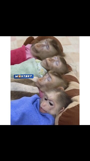 Lovely Family 😍😍😍😁😁😁