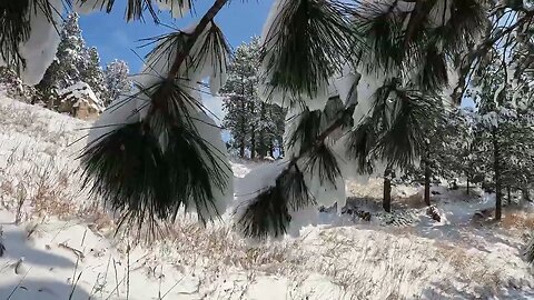 Blizzard! Trailhead between Central and West Rapid City SD