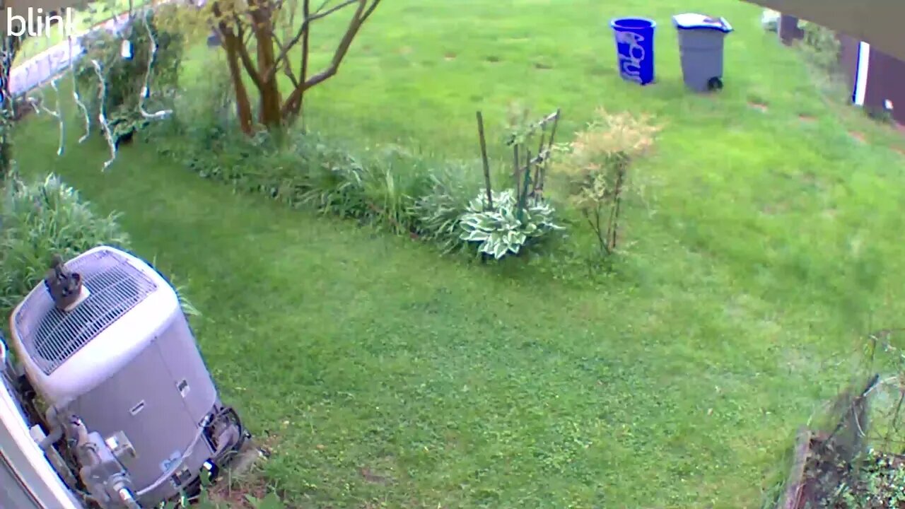 1_EAST_FLOODLIGHT_VIDEO_CAM_2023-04-28T11_59_43-0400.mp4