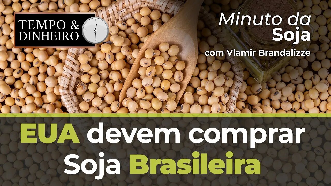 EUA devem comprar Soja Brasileira