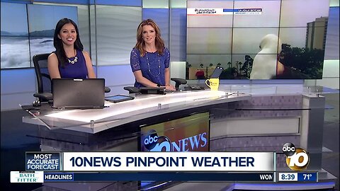 10News Pinpoint Weather for Sun. Sept. 1, 2019