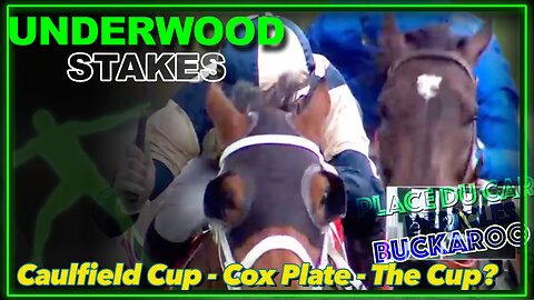 2024 Underwood Stakes | Buckaroo, Place Du Carrousel, Pericles