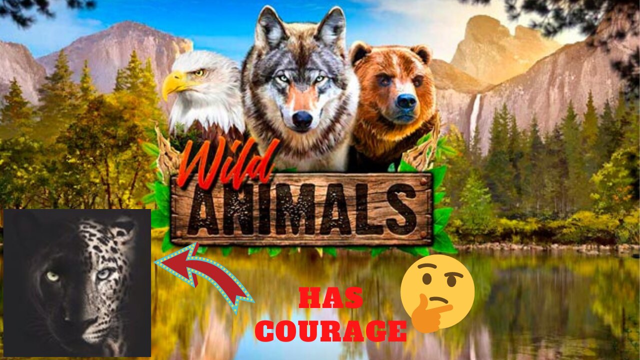 Know where wild animals live at the maximum limit. | Wild animals.