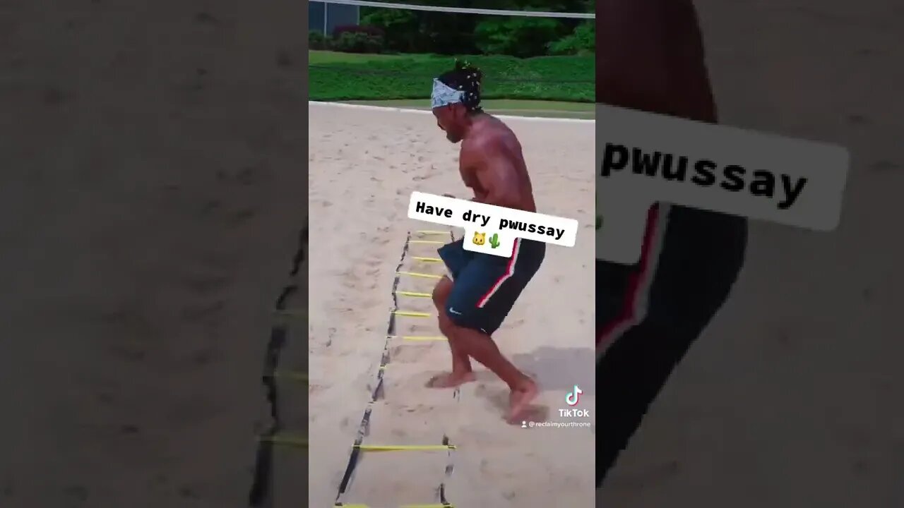 Let me save you some time 👑