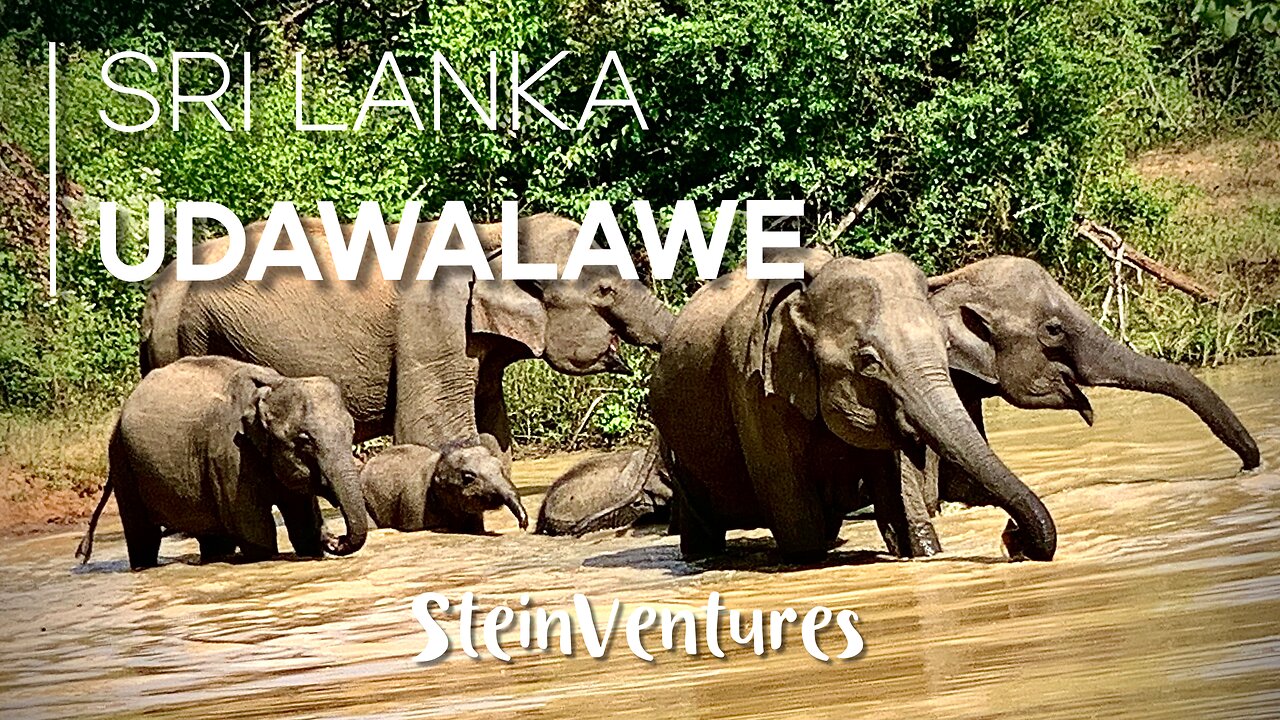 Sri Lanka Episode 4: Udawalawe